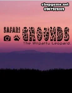 Safari Grounds The Wilpattu Leopard