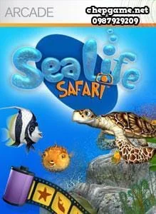 Sealife Safari