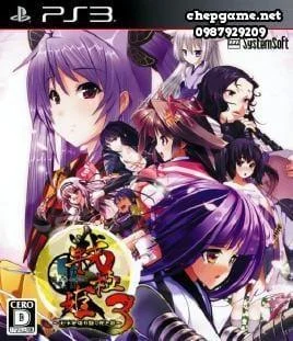 Sengoku Hime 3 Tenka o Kirisaku Hikari to Kage