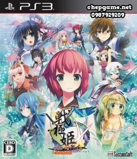 Sengoku Hime 5 Senka Tatsu Haou no Keifu