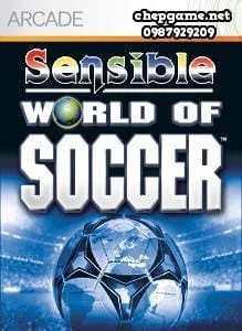 Sensible World of Soccer