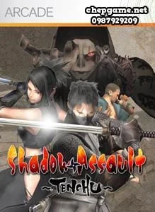 Shadow Assault Tenchu