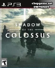 Shadow of The Colossus