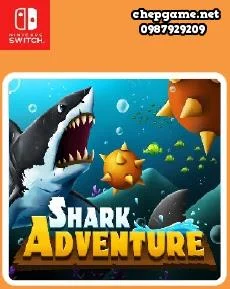 Shark Adventure