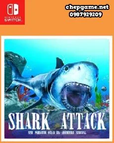 Shark Attack Fish Predator Ocean Sea Adventure Survival