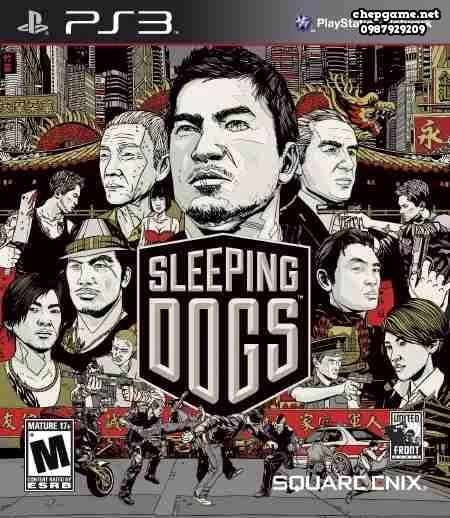 Sleeping Dogs