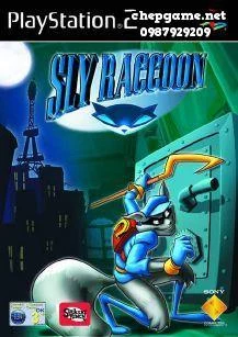 Sly Raccoon