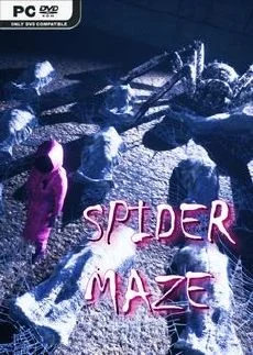 Spider Maze