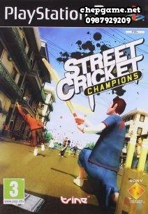Street Cricket Champions