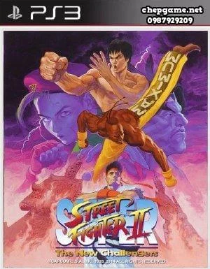 Street Fighter 2 The New Challengers