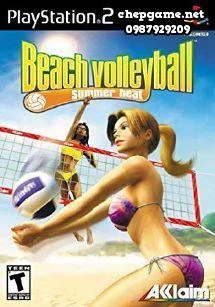 Summer Heat Beach Volleyball