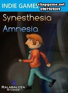 Synesthesia Amnesia