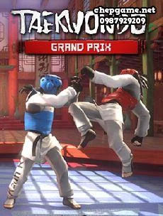 Taekwondo Grand Prix