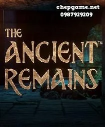 The Ancient Remains