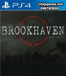 The Brookhaven Experiment