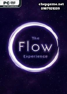 The Flow Experience