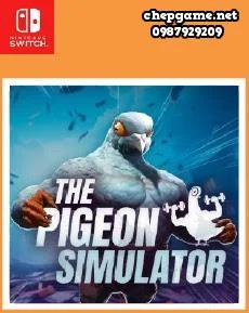 The Pigeon Simulator