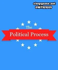 The Political Process