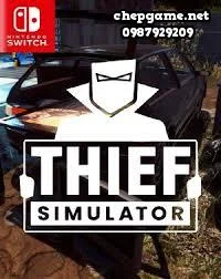 Thief Simulator