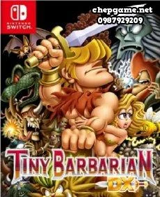 Tiny Barbarian DX