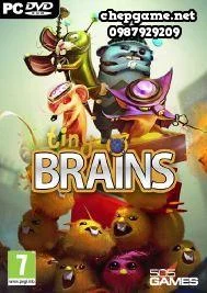 Tiny Brains