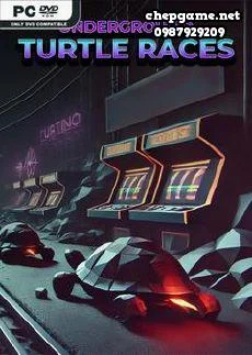 Underground Turtle Races