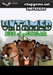 Untamed Life Of A Cougar