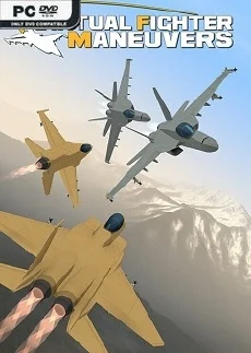 Virtual Fighter Maneuvers