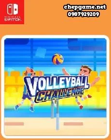 Volleyball Challenge