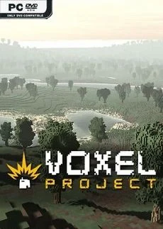 Voxel Project VR