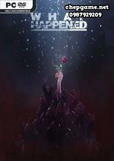 What Happened