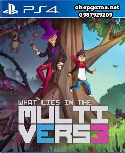 What Lies in the Multiverse