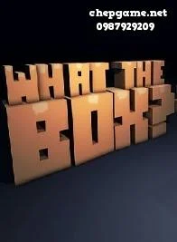 What The Box