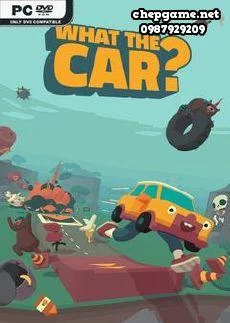 WHAT THE CAR