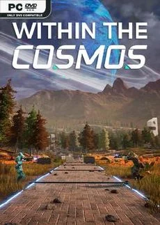 Within the Cosmos