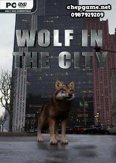 WOLF IN THE CITY