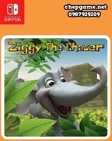 Ziggy the Chaser