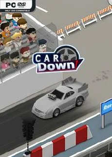 Car Down