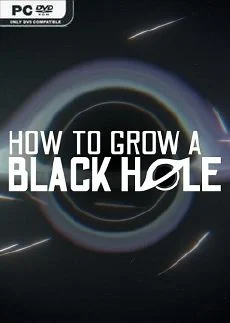 How To Grow a Black Hole