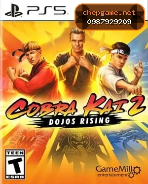 Cobra Kai 2 Dojos Rising