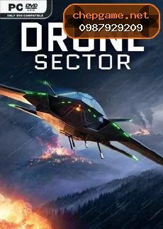 Drone Sector