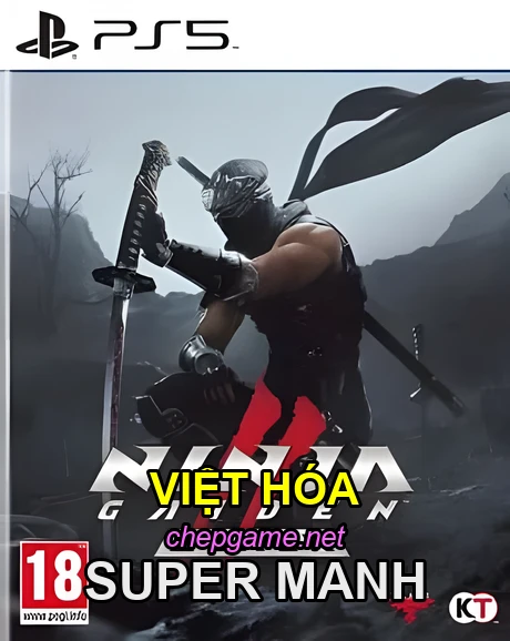 Ninja Gaiden 2 Black