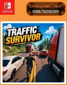 Traffic Survivor