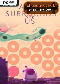 What Surrounds Us