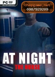 At Night The Nurse