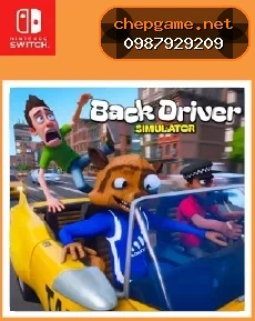 Back Driver Simulator
