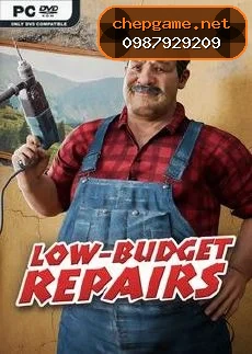 Low Budget Repairs