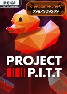 Project PITT