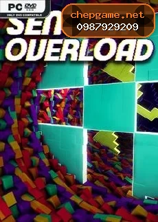 Sensory Overload