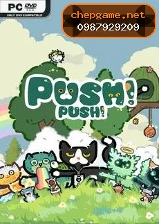 Push Push